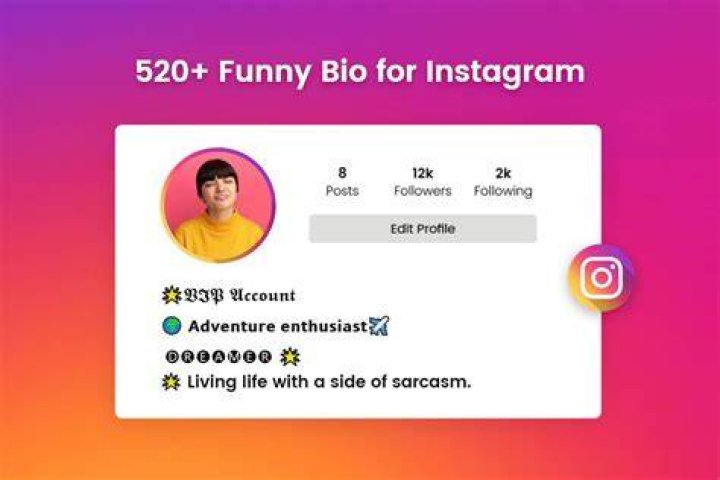 The Ultimate Collection Of Funny Instagram Bios