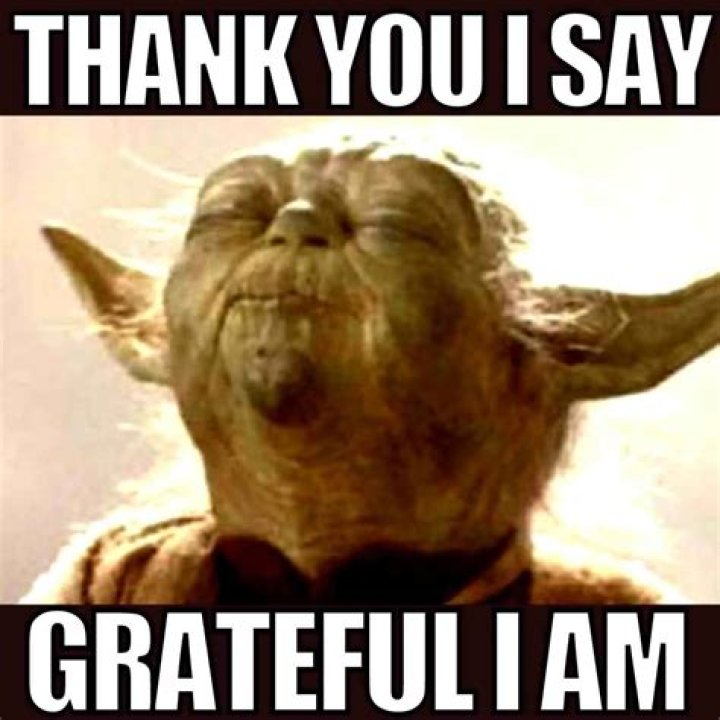 The Ultimate Collection Of Thank You So Much Memes To Express Your Gratitude