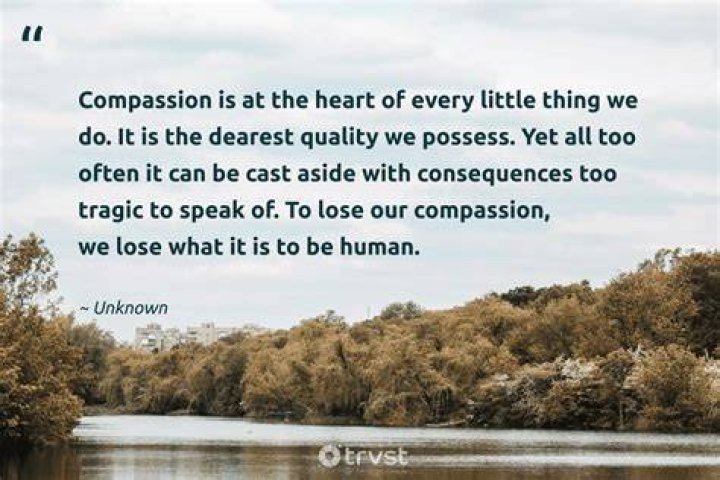 The Ultimate Guide To Alexander Zverev's Acts Of Kindness And Compassion