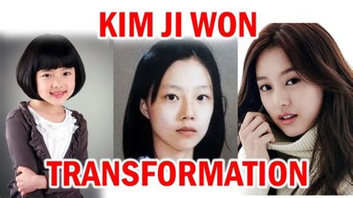 The Ultimate Guide To Kim Ji Won's Life And Career