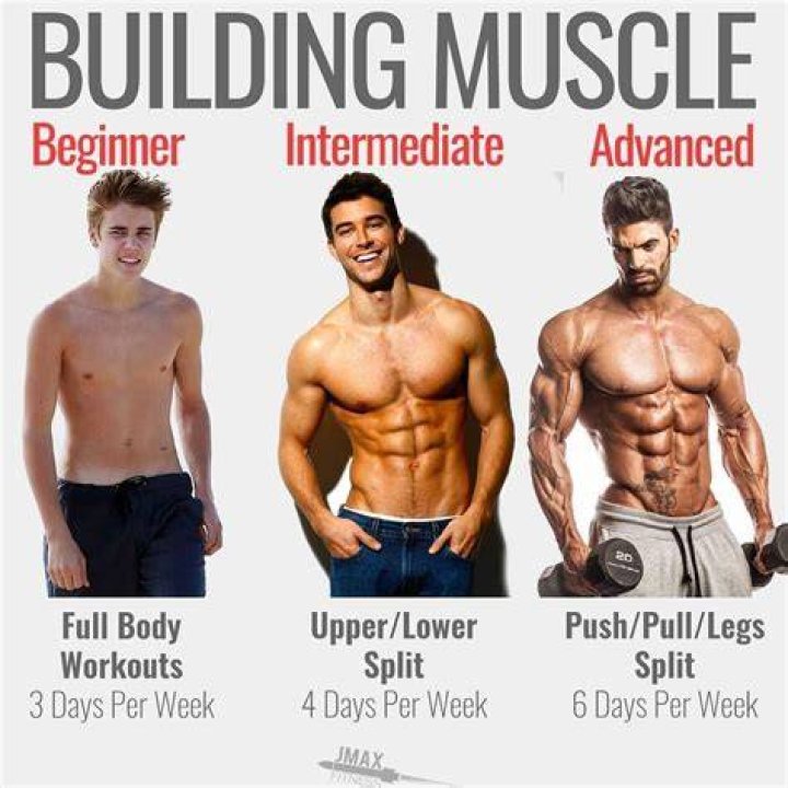 The Ultimate Guide To Riley Gains: Building Muscles And Strength
