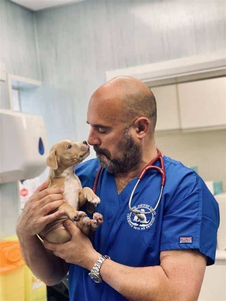 The Unforgettable Dr. Pol: A Master Veterinarian's Journey