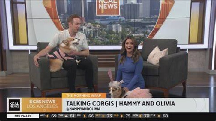 Uncover The Truth About Hammy And Olivia