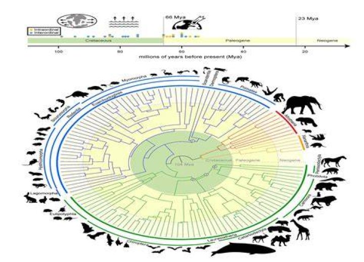Uncovering Paris Jackson's Biological Lineage: A Comprehensive Exploration