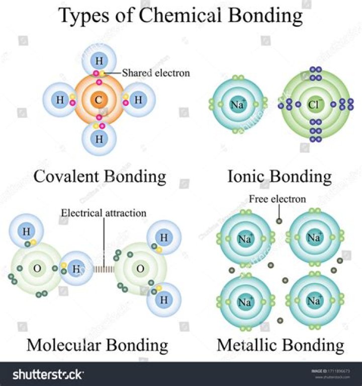 Uncovering The Bonds And Perspectives