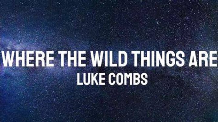 Uncovering The Profound Meaning Behind 'Where The Wild Things Are' By Luke Combs