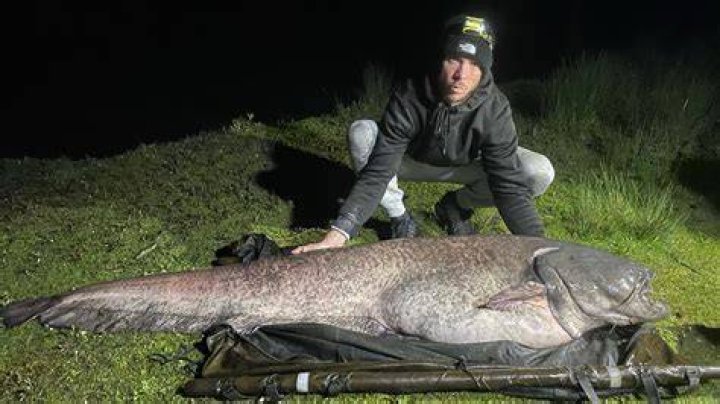 Unraveling The Deceptions And Triumphs Of Emma From Catfish: A Journey Of Discovery