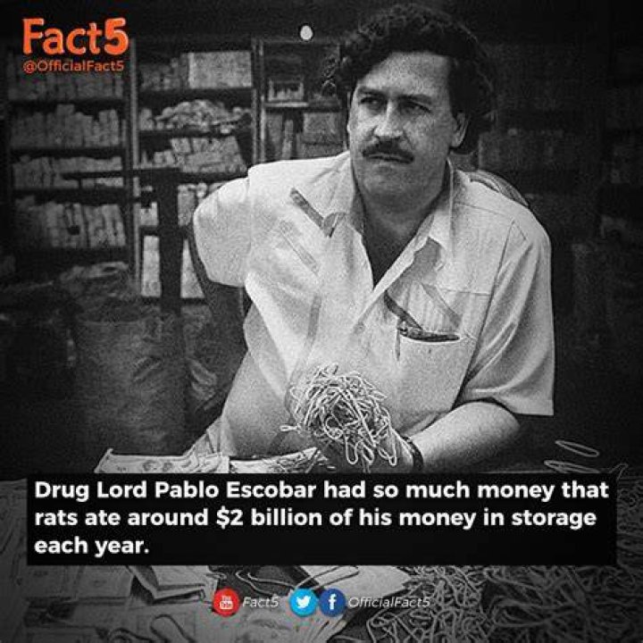 Unraveling The Enigma: How Much Money Did Pablo Escobar Accumulate?