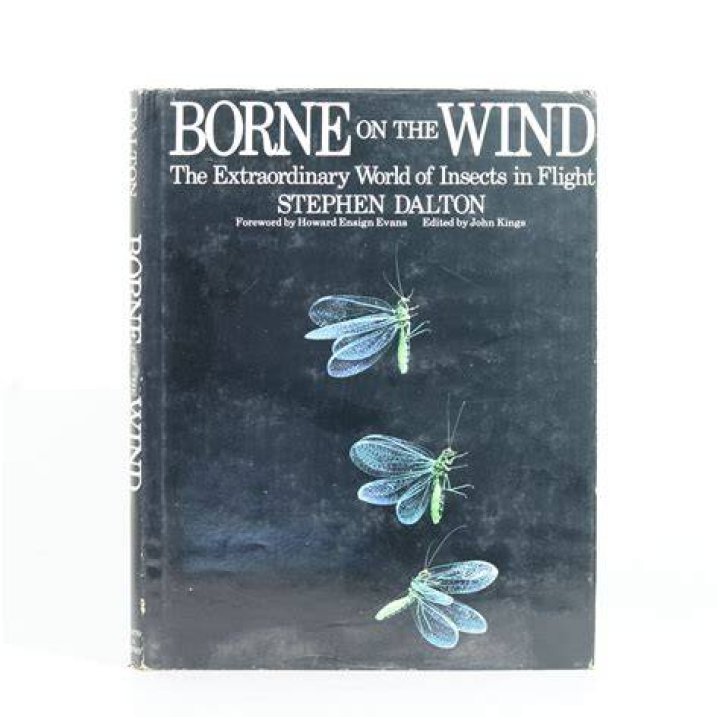 Unveiling The Extraordinary World Of Dae Bennett: Discoveries And Insights