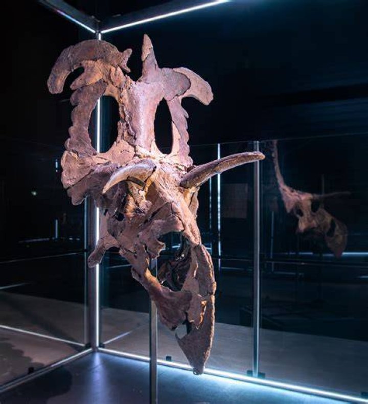 Unveiling The Story Behind "Drake's Dad": Discoveries And Insights