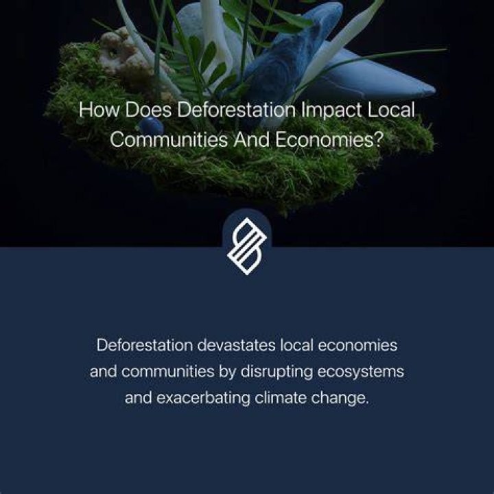 Yamals Wage: Exploring The Impact On Local Economies
